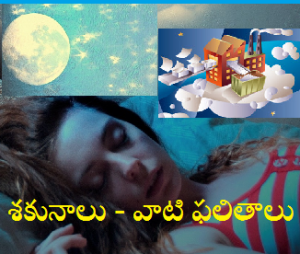 శకునాలు - వాటి ఫలితాలు